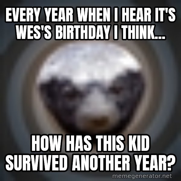 Fearless Honeybadger meme: Every Year when I hear it's Wes's birthday i think... / how has this kid survived another year?
