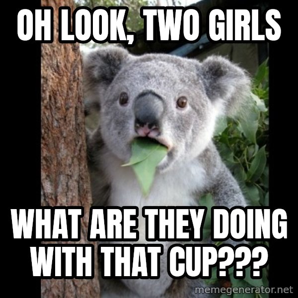 Koala can't believe it meme: Oh look, Two Girls / What ARE THEY DOING WITH THAT CUP???