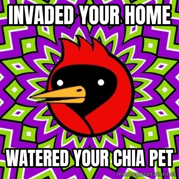 Omsk Crow meme: invaded your home / watered your chia pet