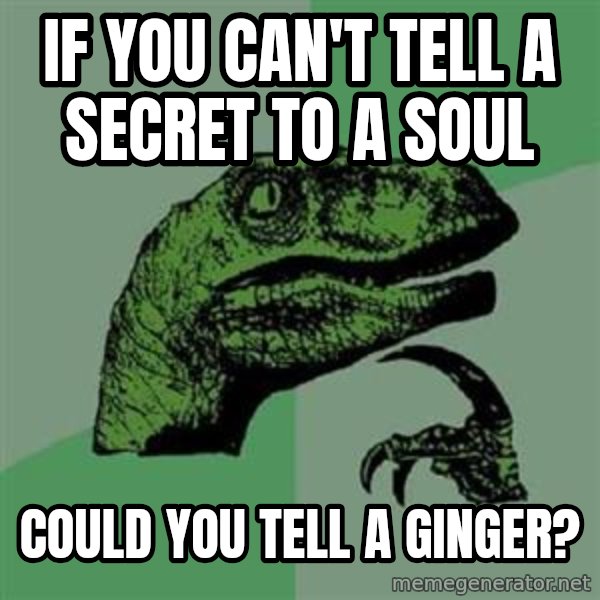 Philosoraptor meme: if you can't tell a secret to a soul / could you tell a ginger?