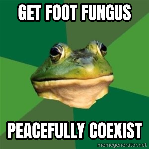Foul Bachelor Frog meme: get foot fungus / peacefully coexist