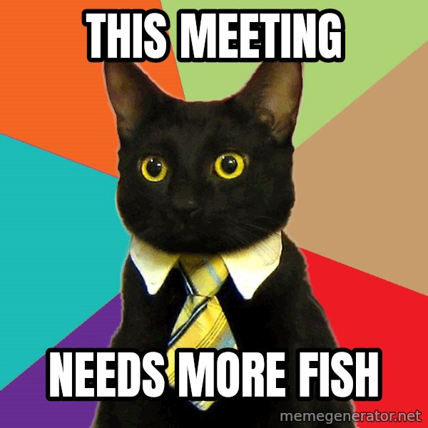 Business Cat meme: This Meeting / Needs more fish