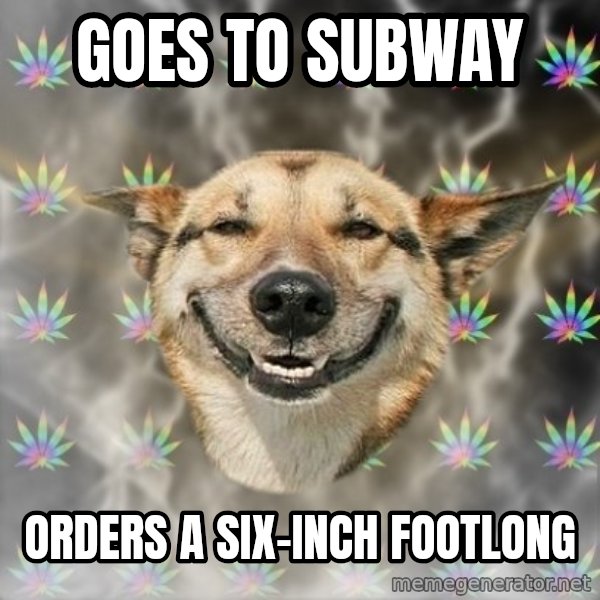 Stoner Dog meme: goes to subway / orders a six-inch footlong