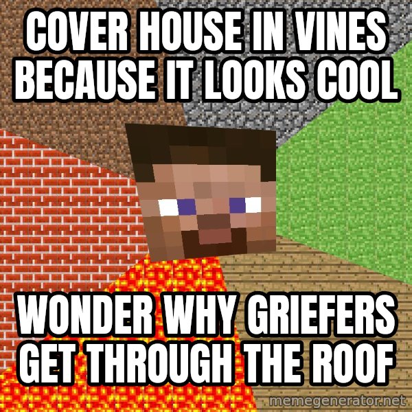 Minecraft Guy meme: Cover house in vines because it looks cool / Wonder why griefers get through the roof