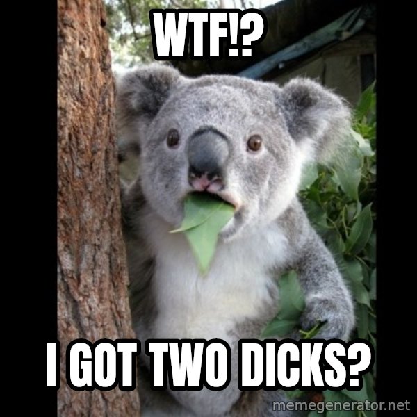 Koala can't believe it meme: Wtf!? / i got two dicks?