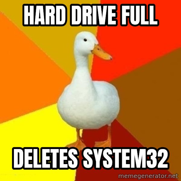 Technologically Impaired Duck meme: Hard drive full / deletes system32