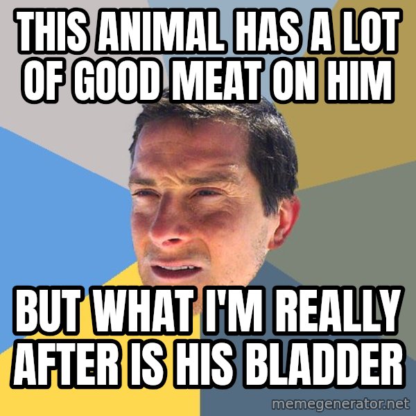 Bear Grylls meme: This animal has a lot of good meat on him / but what i'm really after is his bladder