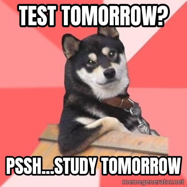 Cool Dog meme: TEST TOMORROW? / PSSH...STUDY TOMORROW