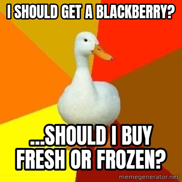 Technologically Impaired Duck meme: i should get a blackberry? / ...should i buy fresh or frozen?