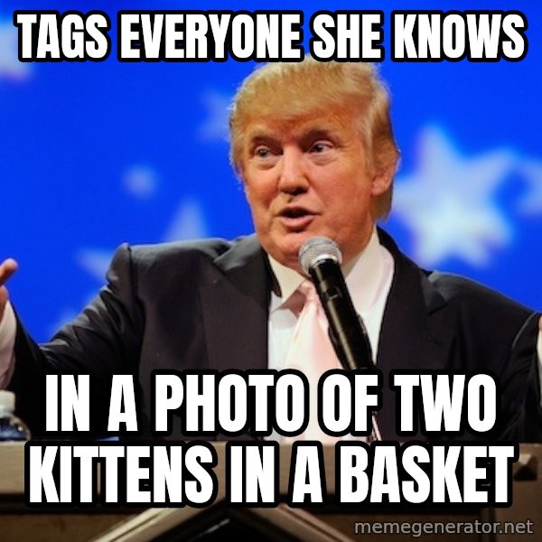 Annoying Facebook Girl meme: TAGs everyone she knows / in a photo of two kittens in a basket