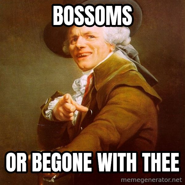 Joseph Ducreux meme: bossoms / or begone with thee