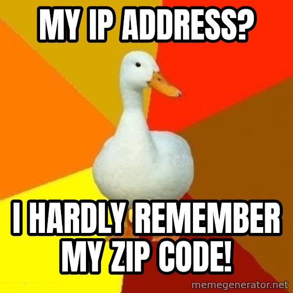 Technologically Impaired Duck meme: MY IP Address? / i hardly remember my zip code!