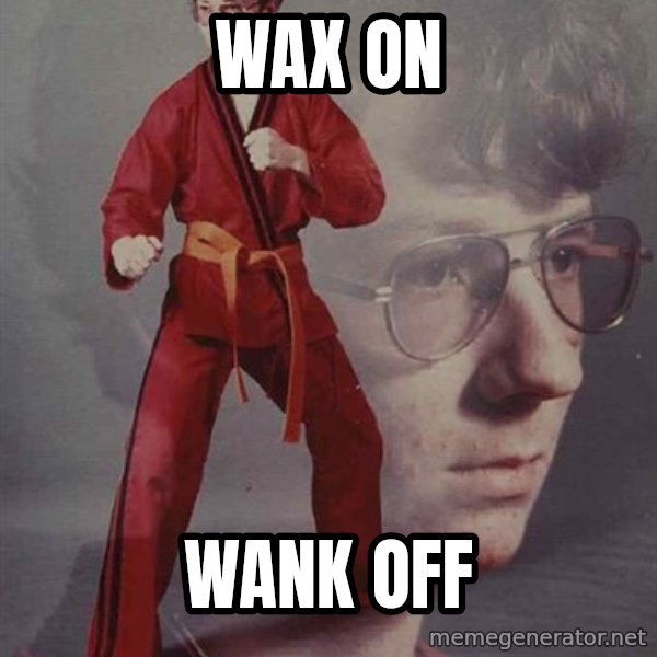 PTSD Karate Kyle meme: wax on / wank off