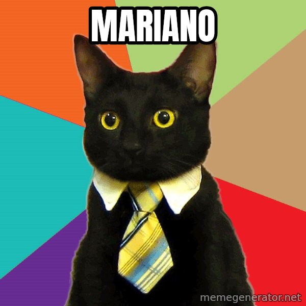 Business Cat meme: mariano