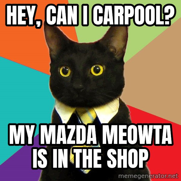 Business Cat meme: hey, can i carpool? / My mazda meowta is in the shop