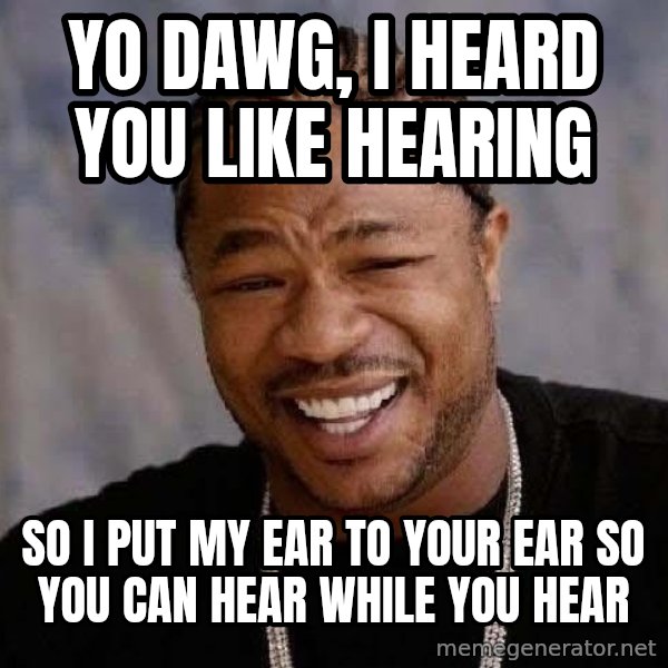 Yo Dawg meme: yo dawg, i heard you like hearing / so i put my ear to your ear so you can hear while you hear