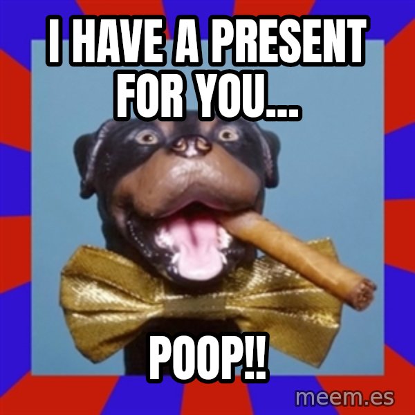 Triumph the Insult Comic Dog meme: I have A present for you... / Poop!!