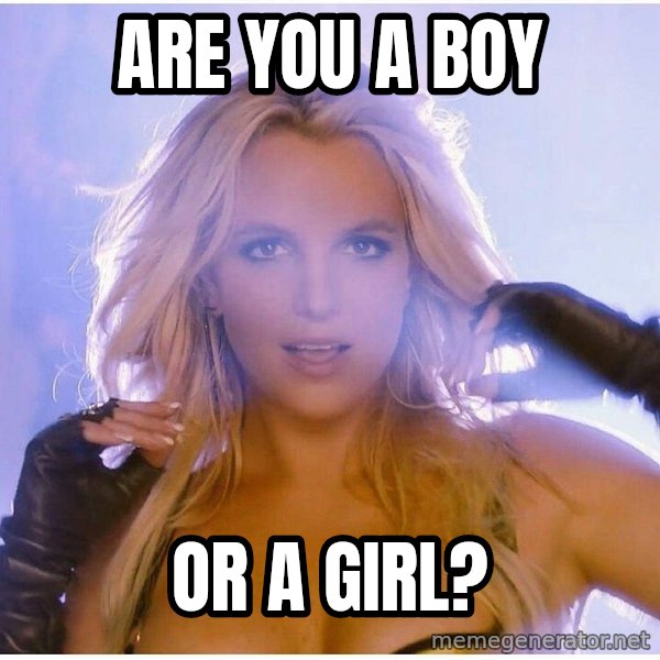 Professor Oak meme: are you a boy / or a girl?