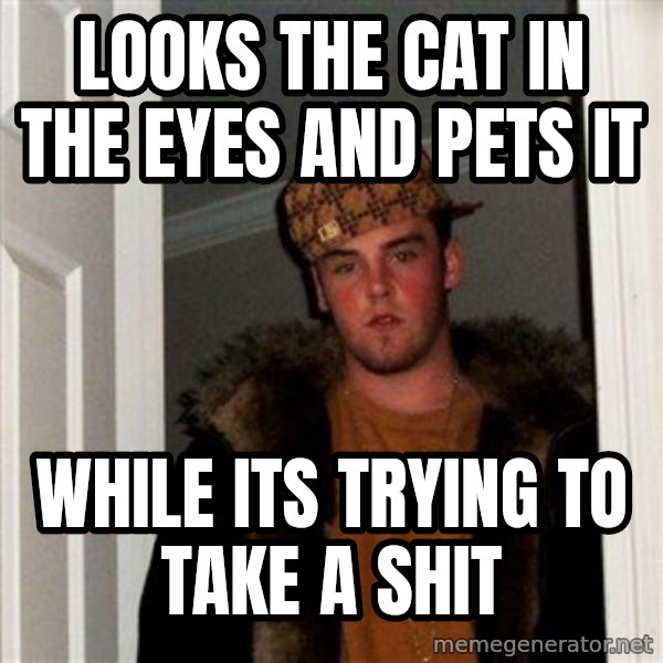 Scumbag Steve meme: LOOKS THE CAT IN THE EYES AND PETS IT / WHILE ITS TRYING TO TAKE A SHIT