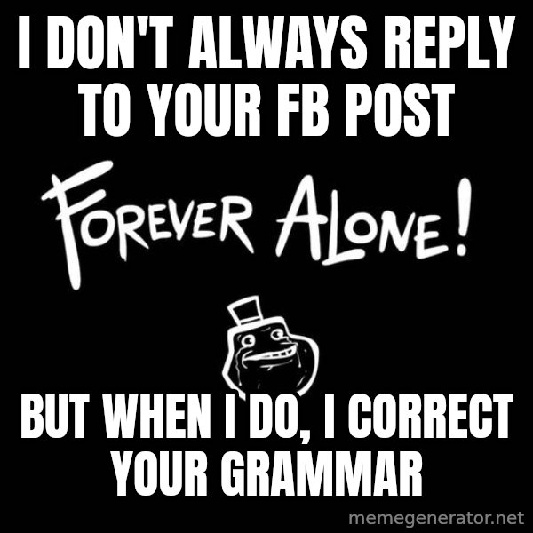 The Most Interesting Man In The World meme: i don't always reply to your fb post / but when i do, i correct your grammar