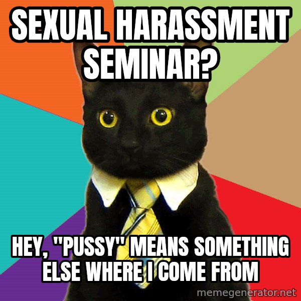 Business Cat meme: sexual harassment seminar? / hey, "pussy" means something else where i come from