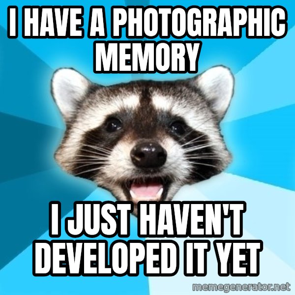 Lame Pun Coon meme: I have a photographic memory / I just haven't developed it yet