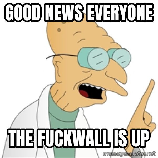 Good News Everyone meme: Good news everyone / the fuckwall is up