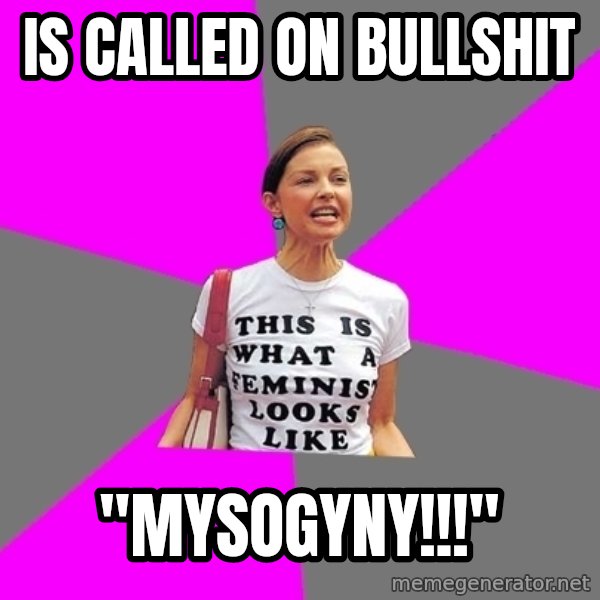 Feminist Cunt meme: is called on bullshit / "MYSOGYNY!!!"