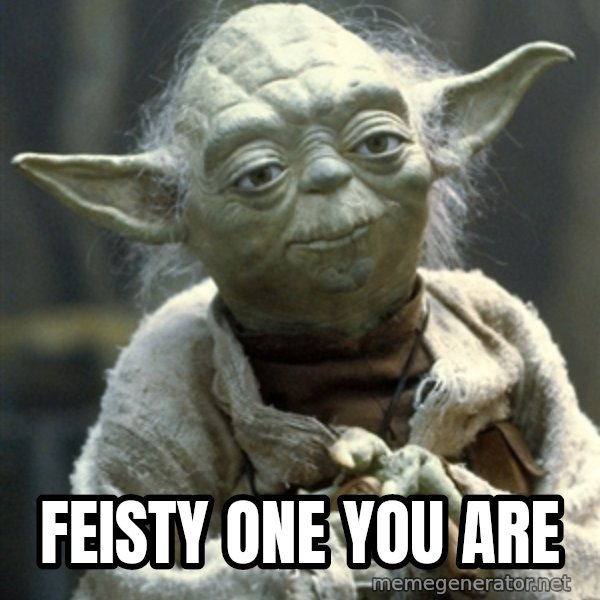 Yodanigger meme: Feisty one you are