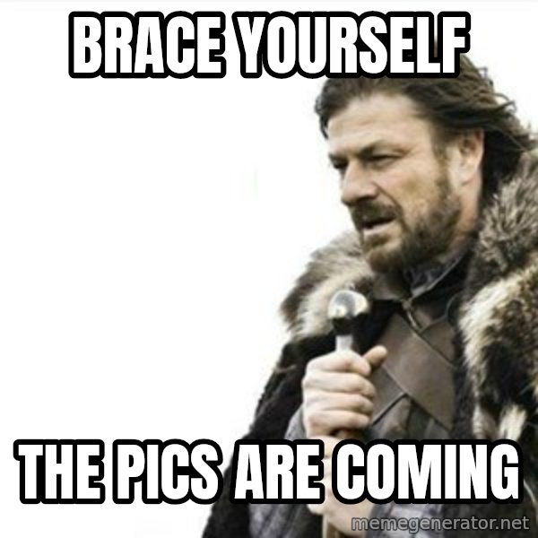 Prepare yourself meme: BRACE YOURSELF / The PICS ARE COMING