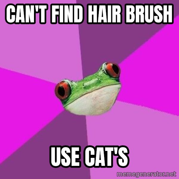 Foul Bachelorette Frog meme: Can't find hair brush / use cat's