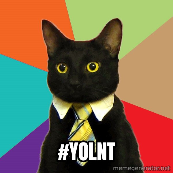 Business Cat meme: #YOLNT