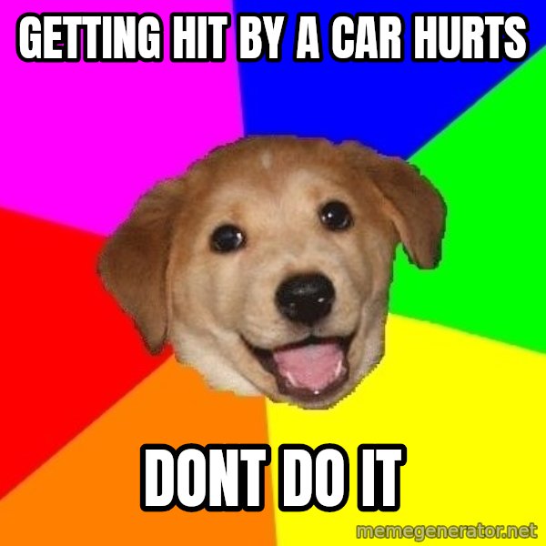 Advice Dog meme: getting hit by a car hurts / dont do it
