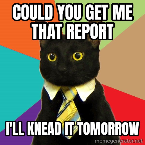 Business Cat meme: could you get me that report / I'll knead it tomorrow