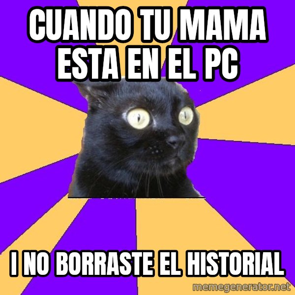 Anxiety Cat meme: cuando tu mama esta en el pc / i no borraste el historial