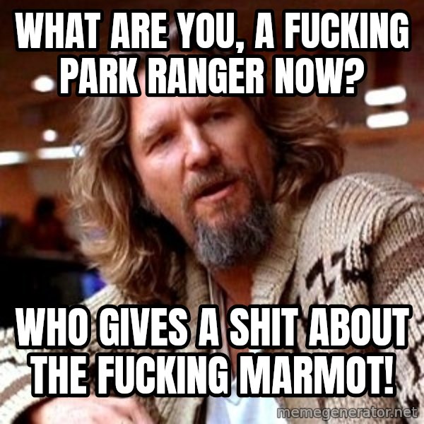 Big Lebowski meme: What are you, a fucking park ranger now? / Who gives a shit about the fucking marmot!