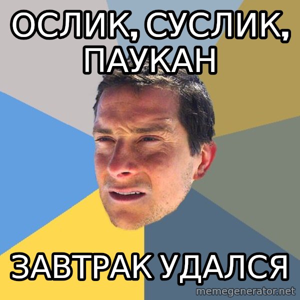 Bear Grylls meme: Ослик, Суслик, Паукан / Завтрак Удался