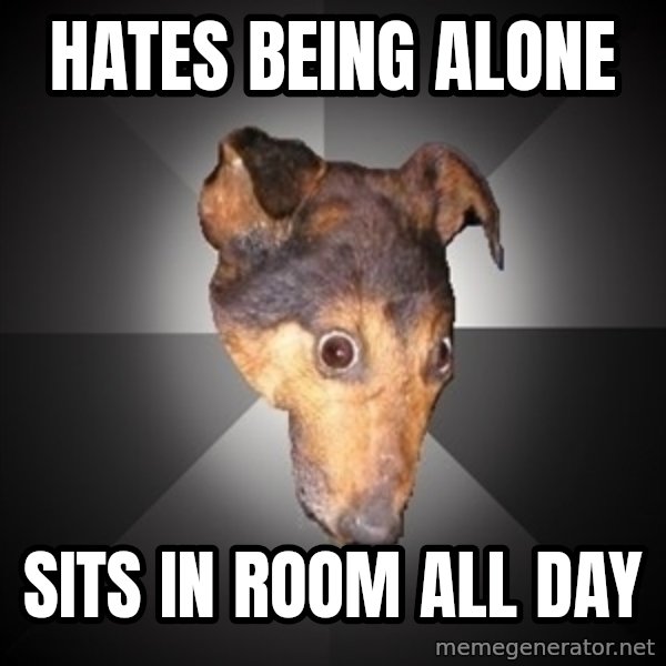 Depression Dog meme: hates being alone / sits in room all day
