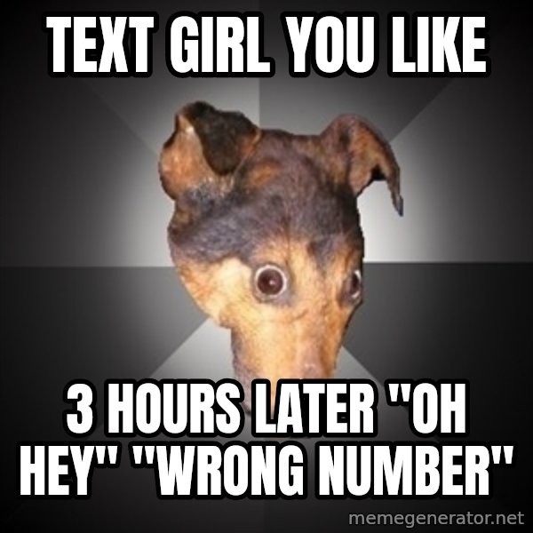 Depression Dog meme: text girl you like / 3 hours later "oh hey" "wrong number"