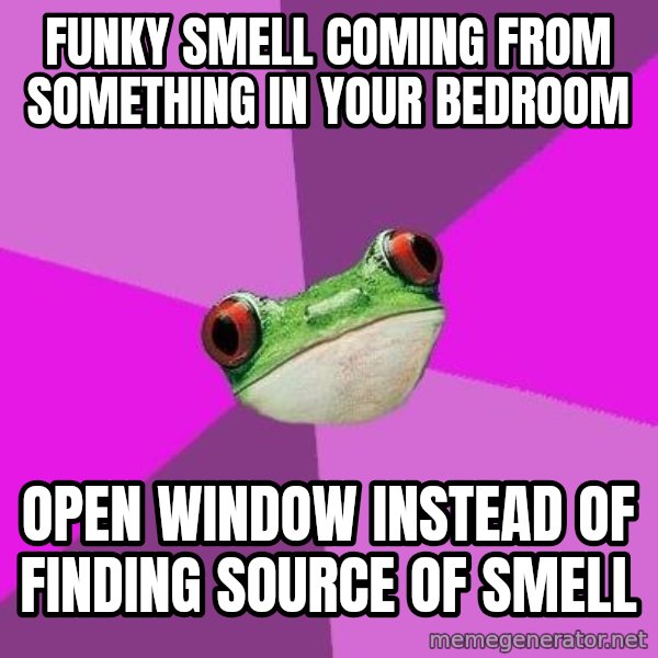 Foul Bachelorette Frog meme: funky smell coming from something in your bedroom / open window instead of finding source of smell