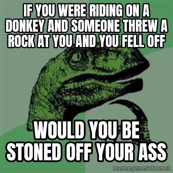 Philosoraptor meme: if you were riding on a donkey and someone threw a rock at you and you fell off / would you be stoned off your ass