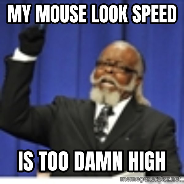 Too high meme: MY MOuse look speed / is too damn high