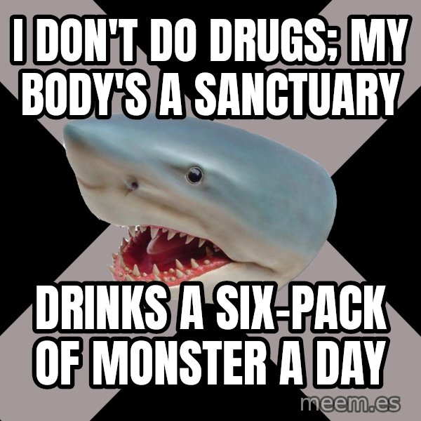 Straight Edge Shark meme: I don't do drugs; my body's a sanctuary / drinks a six-pack of monster a day