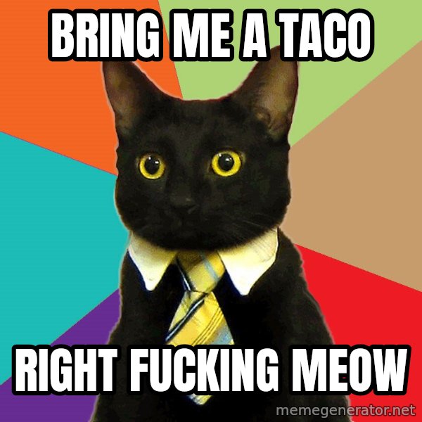 Business Cat meme: BRING ME A TACO / RIGHT FUCKING MEOW