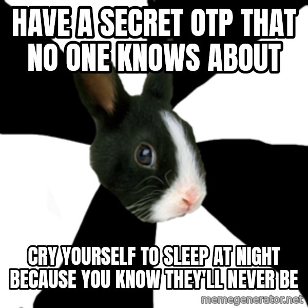 Roleplaying Rabbit meme: have a secret otp that no one knows about / cry yourself to sleep at night because you know they'll never be