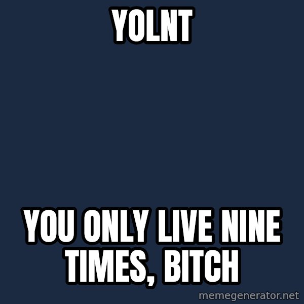 Wisdom Cat meme: yolnt / you only live nine times, bitch