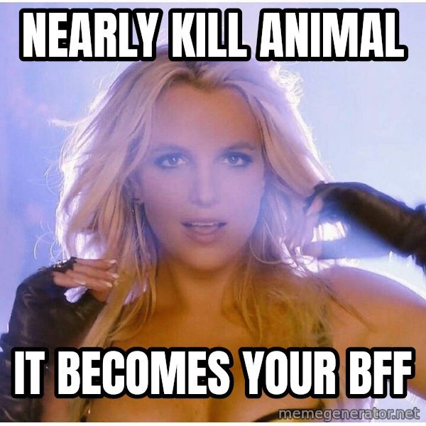Professor Oak meme: NEARLY KILL ANIMAL / IT BECOMES YOUR BFF