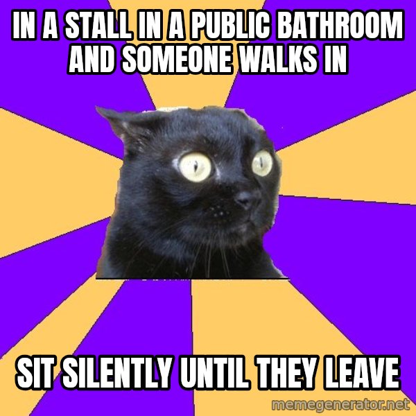 Anxiety Cat meme: In A stall in a public bathroom and someone walks in / sit silently until they leave