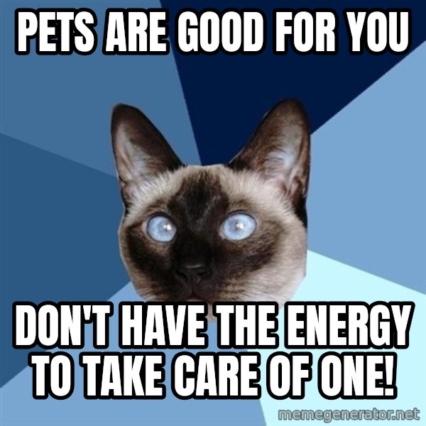 Chronic Illness Cat meme: Pets are good for you / don't have the energy to take care of one!