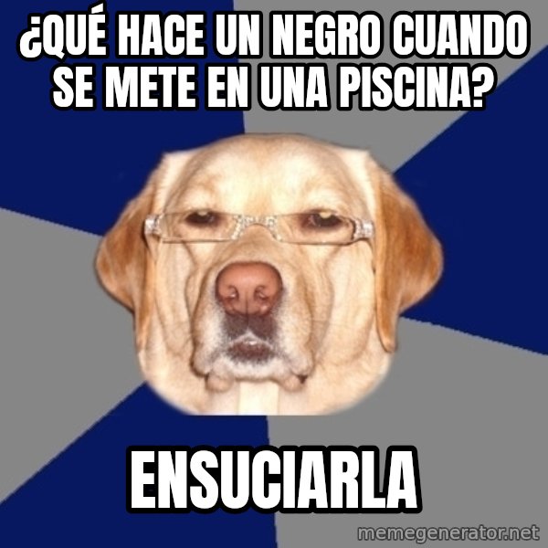 Racist Dog meme: ¿Qué hace un negro cuando se mete en una piscina? / Ensuciarla